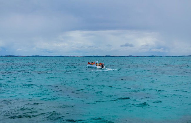 Spiaggia di Maracajaú - Tour di un giorno intero - Foto 6